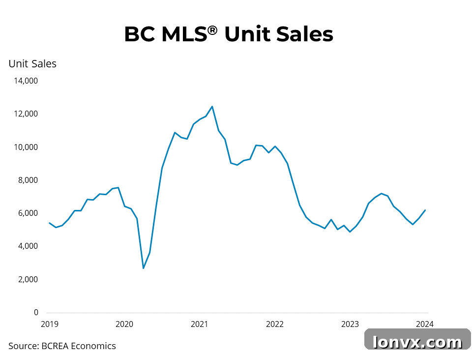A line graph displaying the average MLS residential price trends in British Columbia over a period, showing an upward trajectory for January 2024.