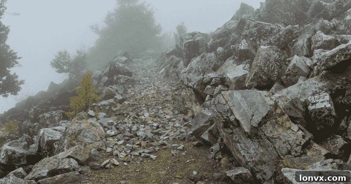 The Appalachian Trail turns rocky near the peak of Blackrock Mountain in Shenandoah National Park