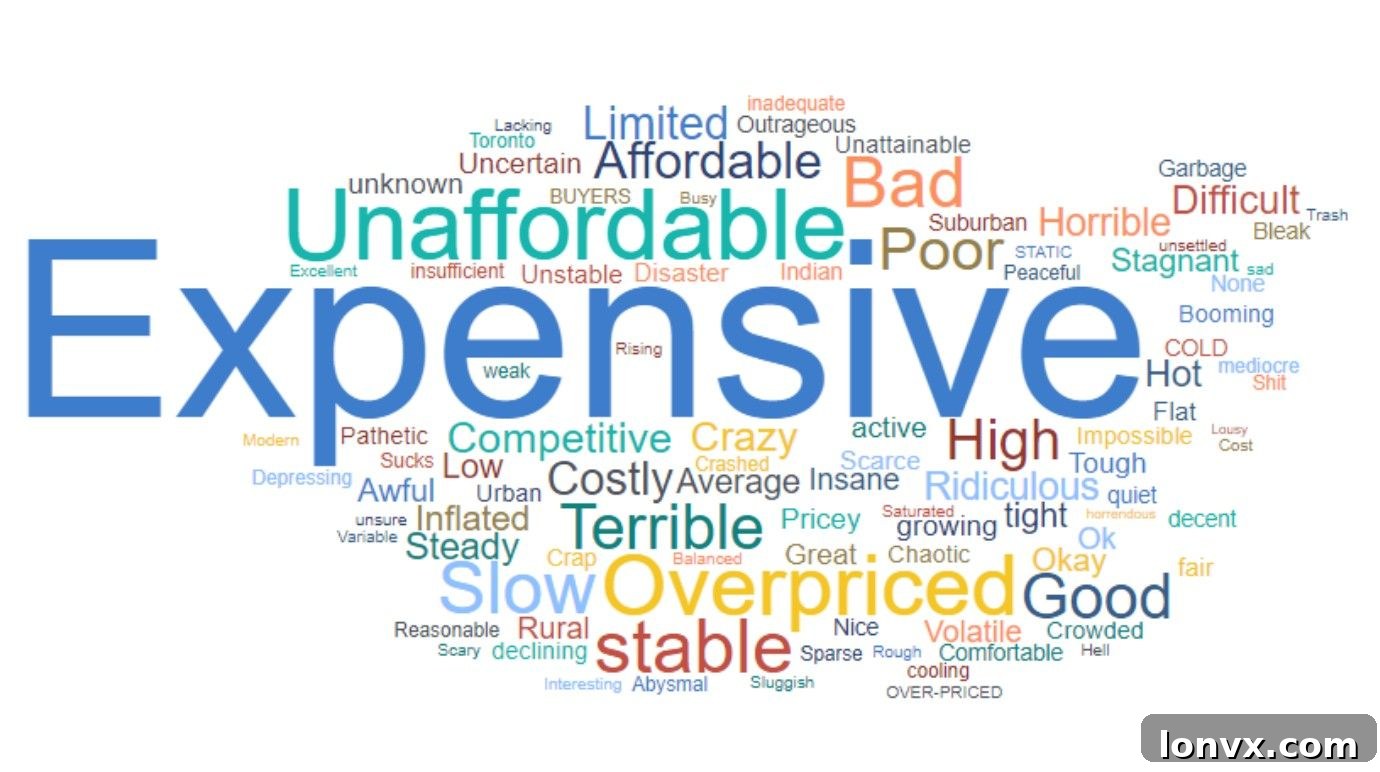 Words survey respondents used to describe Ontario’s housing market.